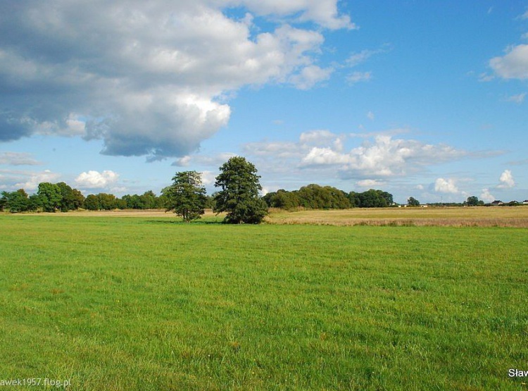 Pobieranie artykułów